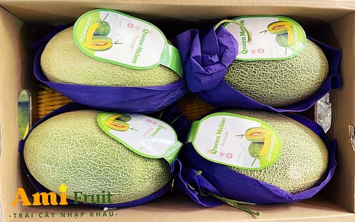 dưa lưới queen melon