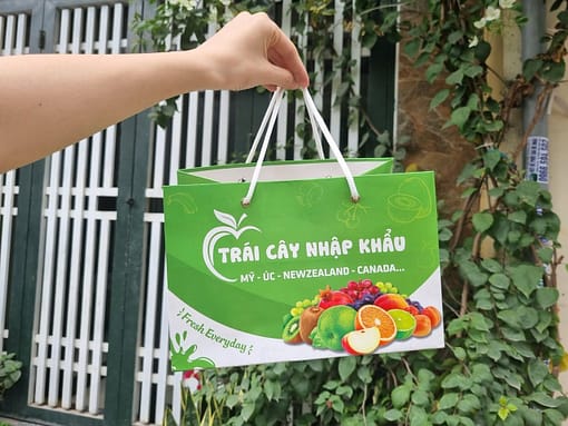 túi giấy đựng giỏ quà trái cây nhập khẩu